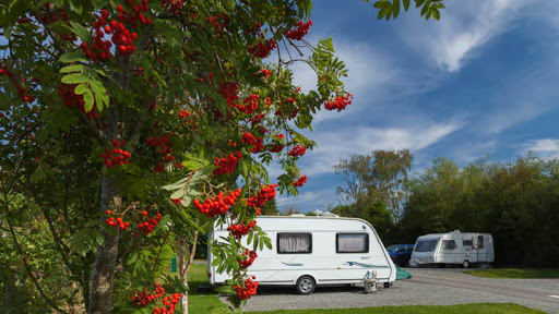 The Firs Caravan and Motorhome Club Campsite