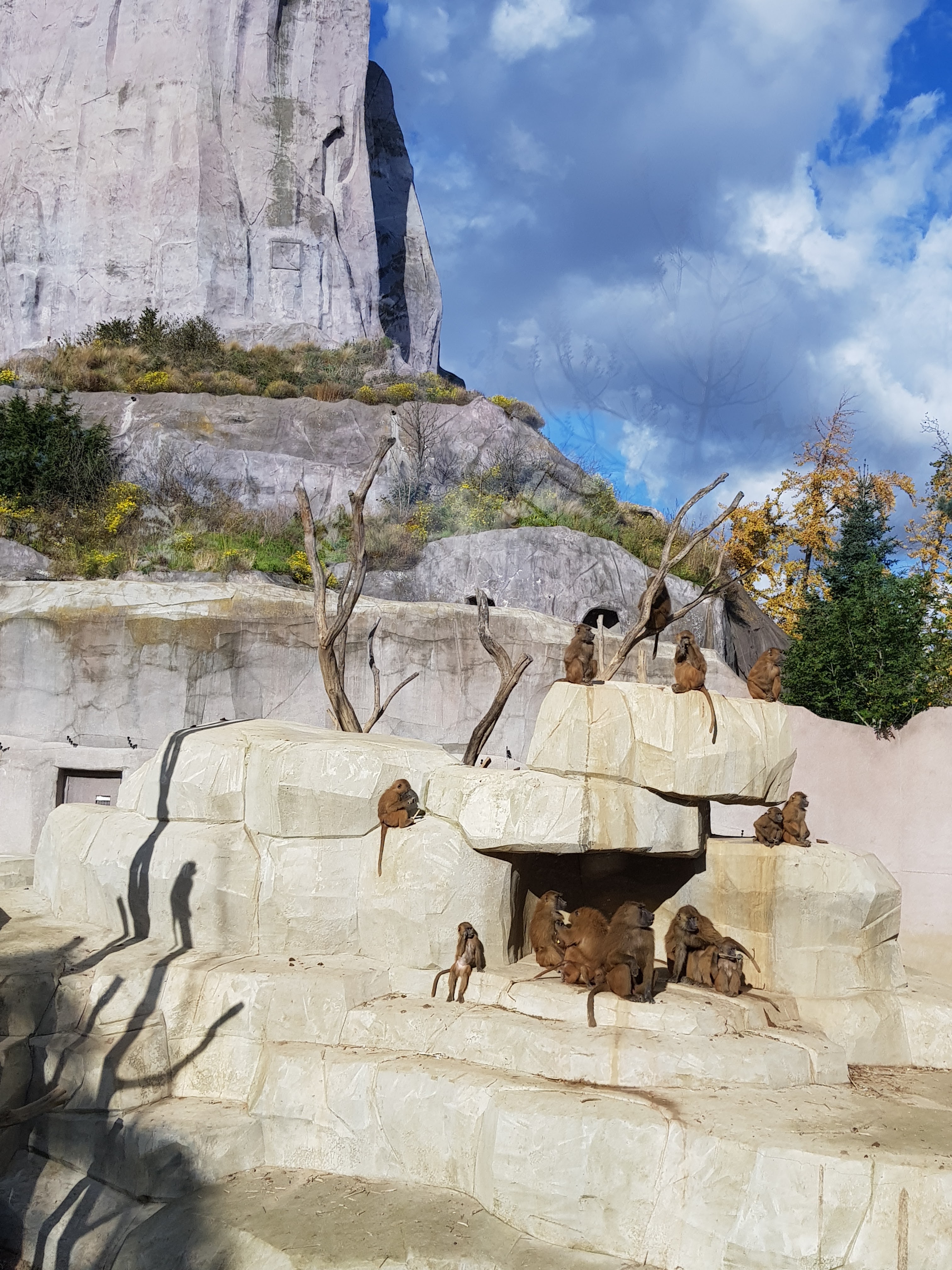 Photo n° 5 de l'avis de francis.a fait le 20/11/2017 à 07:17