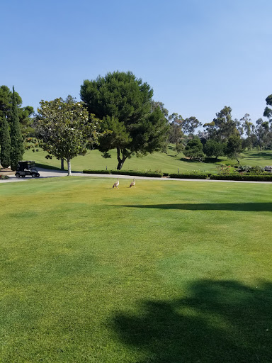 Country Club «Marbella Country Club», reviews and photos, 30800 Golf Club Dr, San Juan Capistrano, CA 92675, USA