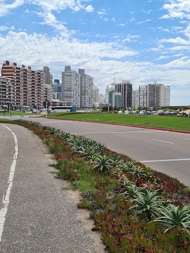 Comentarios y opiniones de Terminal de Ómnibus Punta del Este