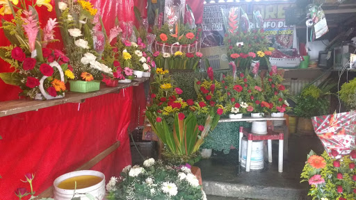 Florería San Vicente – Ejido de Chicoloapan