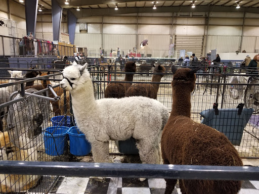 Fair «Summit County Fairgrounds», reviews and photos, 229 E Howe Rd, Tallmadge, OH 44278, USA