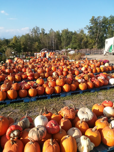 Produce Market «The Bigsby Market», reviews and photos, 1418 Dryden Rd, Freeville, NY 13068, USA