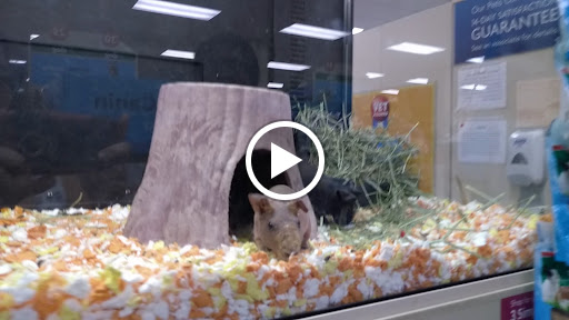 Pet Supply Store «PetSmart», reviews and photos, 2 Brick Plaza, Brick, NJ 08723, USA