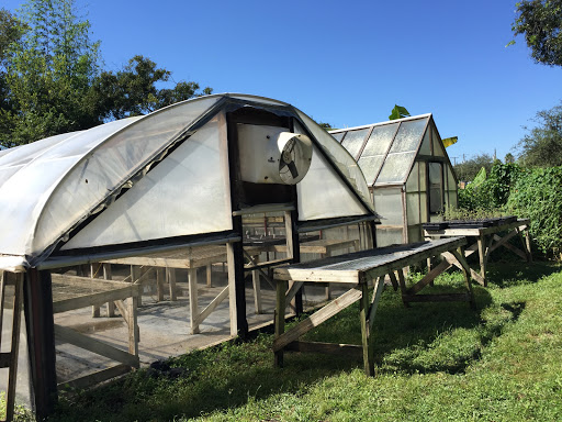 Farm «Sweetwater Organic Community Farm», reviews and photos, 6942 W Comanche Ave, Tampa, FL 33634, USA