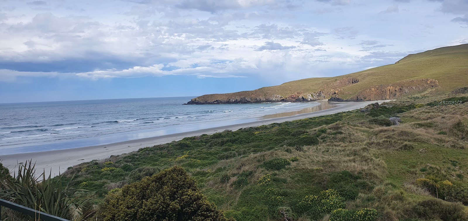 Pipikaretu Beach'in fotoğrafı vahşi alan