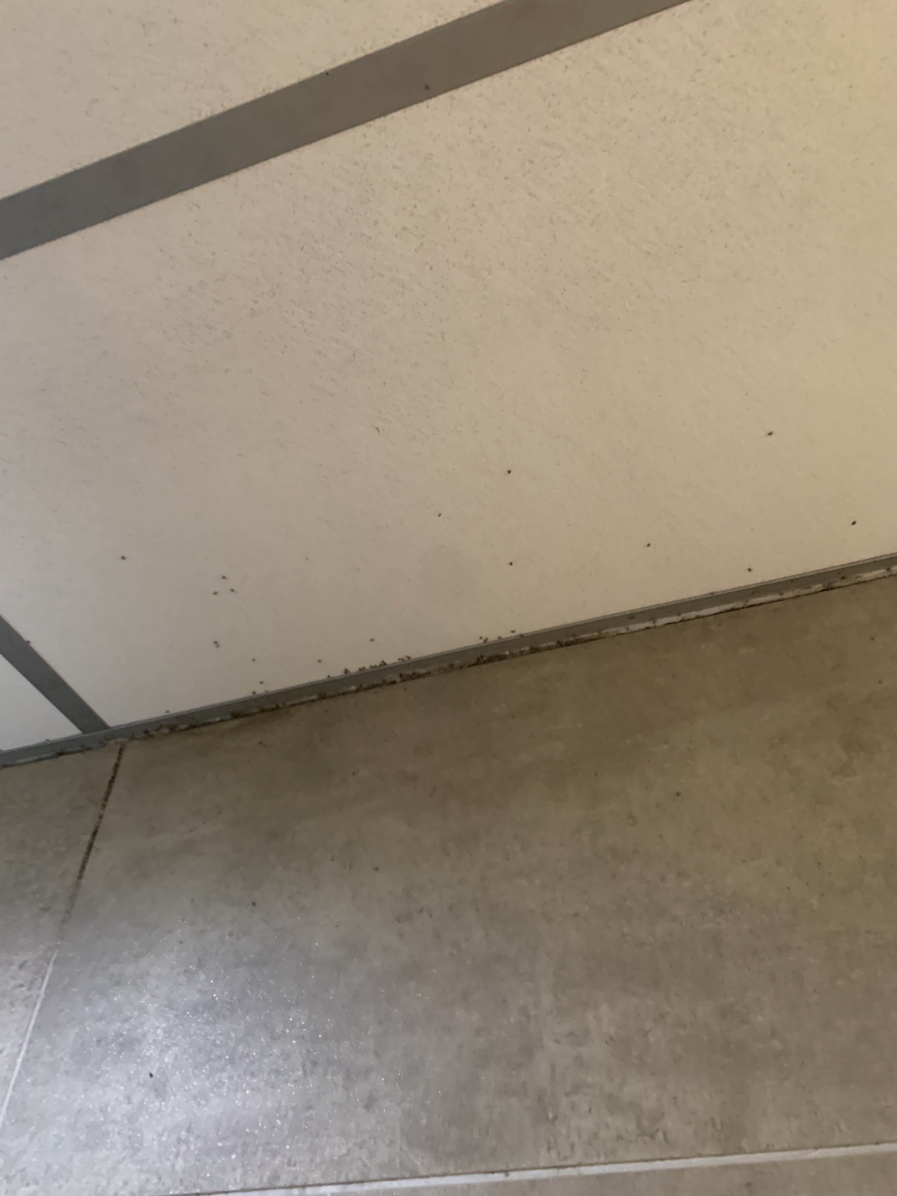 Photo n° 3 de l'avis de Antho. fait le 15/10/2023 à 22:32