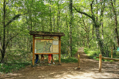 Bois de Ligugé à Ligugé