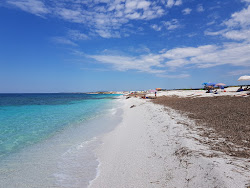 Spiaggia S'Archeddu'in fotoğrafı vahşi alan