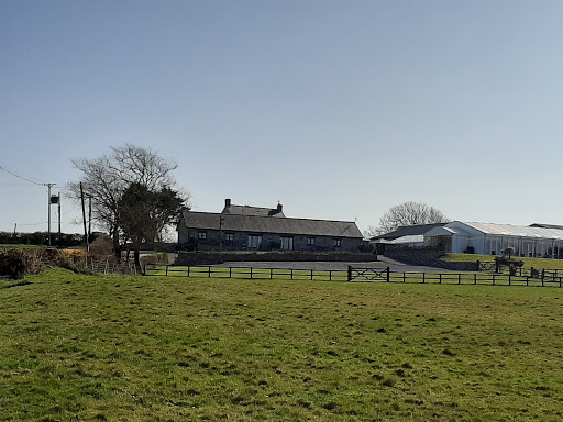 Ocean View - Windmill Gower