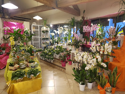 Autour des Fleurs à Mende