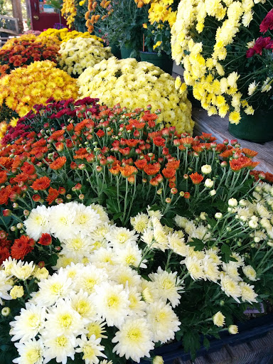 Florist «Incahoots», reviews and photos, 905 NE Baker St, McMinnville, OR 97128, USA