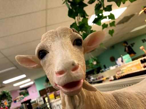 Health Food Store «Sunseed Food Co-Op Inc», reviews and photos, 6615 N Atlantic Ave B, Cape Canaveral, FL 32920, USA