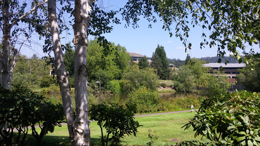 Book Store «Barnes & Noble», reviews and photos, 1530 11th Ave NW, Issaquah, WA 98027, USA