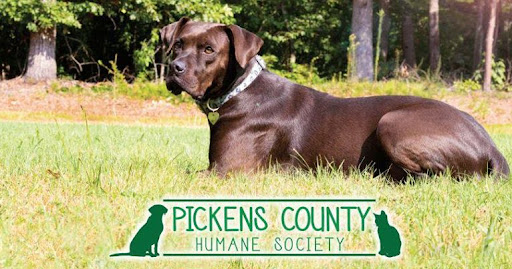 Pickens County Humane Society