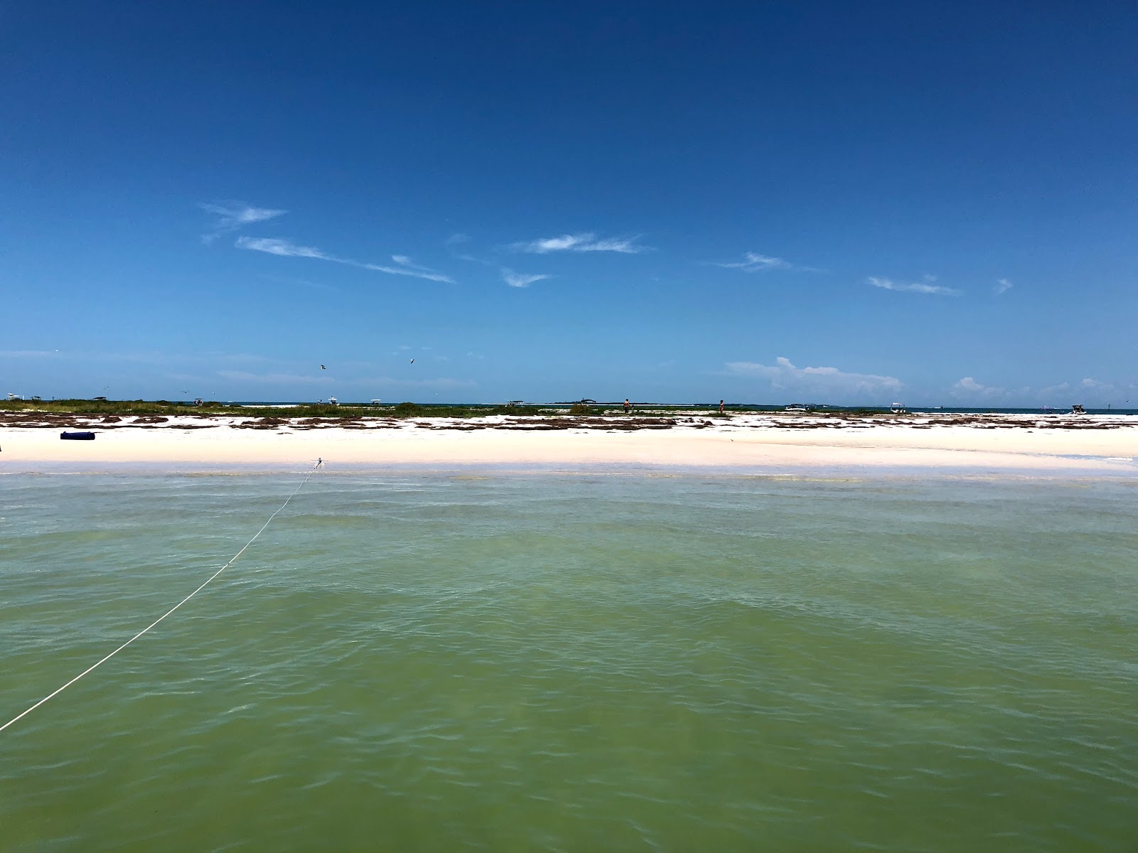 Honeymoon Island Beach'in fotoğrafı doğal alan içinde bulunmaktadır