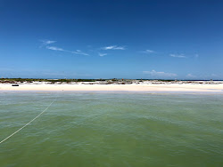 Honeymoon Island Beach'in fotoğrafı doğal alan içinde bulunmaktadır