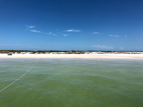 Honeymoon Island Beach
