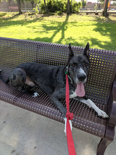 Park «Watters Crossing Park», reviews and photos, 1201 Bel Air Dr, Allen, TX 75013, USA