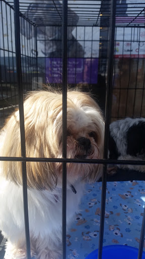 Pet Supply Store «Petco Animal Supplies», reviews and photos, 3459 Valley Plaza Pkwy, Fort Wright, KY 41017, USA