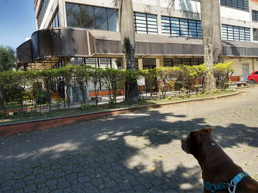 Hospital Veterinário - Universidade Anhanguera em São Bernardo do Campo - SP