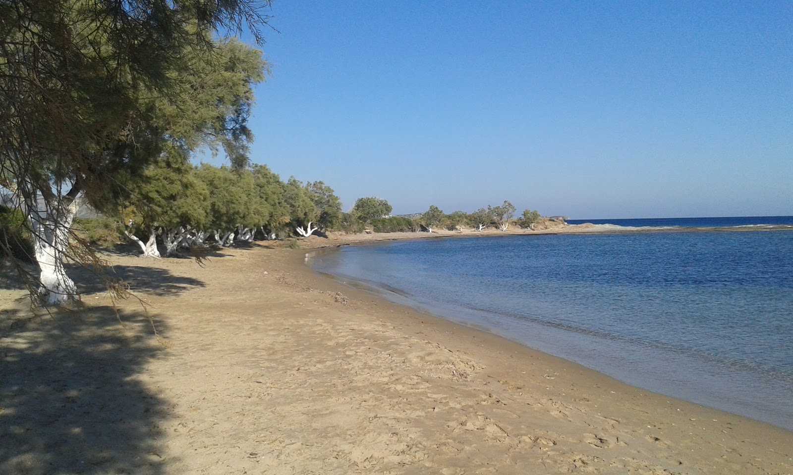 Foto van Paralia Kalamitsi met ruime baai