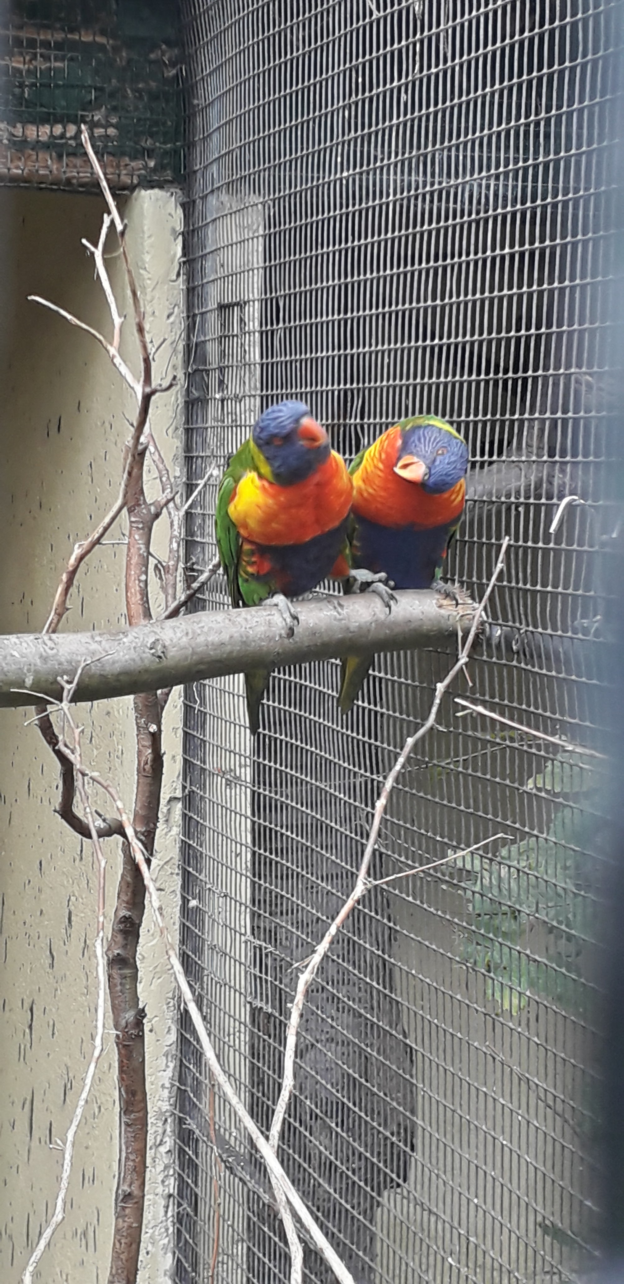 Photo n° 34 de l'avis de lilou.i fait le 19/09/2020 à 16:48