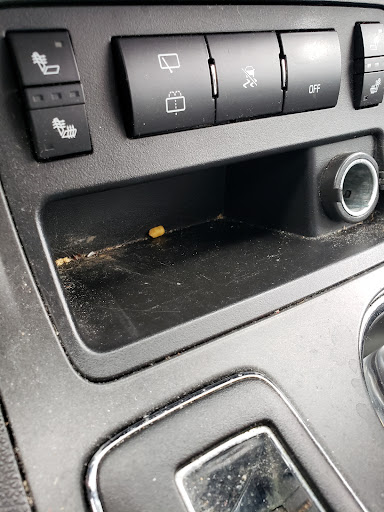 Car Wash «Autobell Car Wash», reviews and photos, 5840 E Virginia Beach Blvd, Norfolk, VA 23502, USA