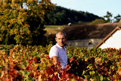 Domaine Brintet à Mercurey