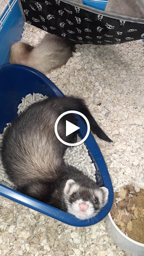 Pet Supply Store «Petco Animal Supplies», reviews and photos, 188 Kitts Ln, Newington, CT 06111, USA