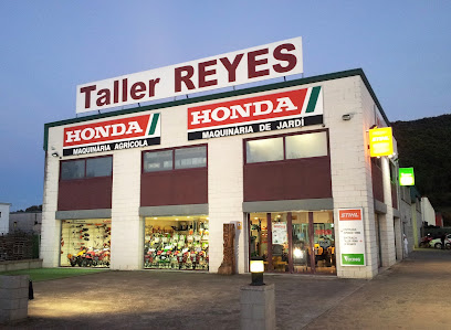 Taller Reyes
