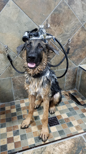 Pet Store «Pet Valu», reviews and photos, 15 Schalks Crossing Rd, Plainsboro Township, NJ 08536, USA