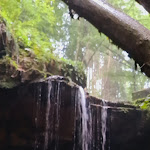 Photo n°3 de l'avis de Eugen.a fait le 09/10/2021 à 23:04 sur le  Baumhaushotel Seemühle GmbH à Gräfendorf