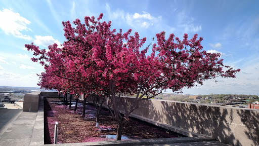 History Museum «National World War I Museum and Memorial», reviews and photos, 2 Memorial Dr, Kansas City, MO 64108, USA
