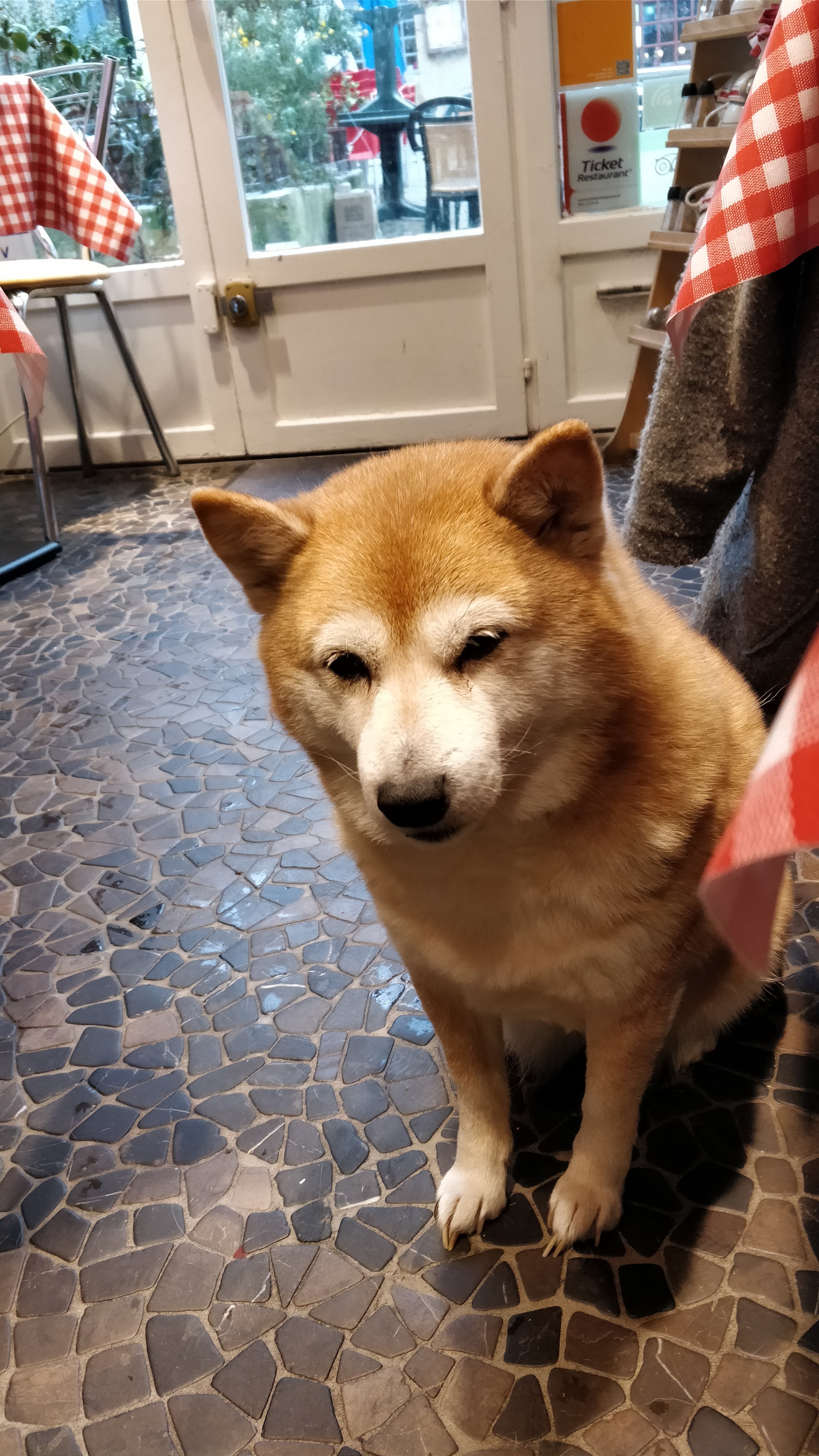 Photo n° 2 de l'avis de David.e fait le 29/03/2018 à 13:00
