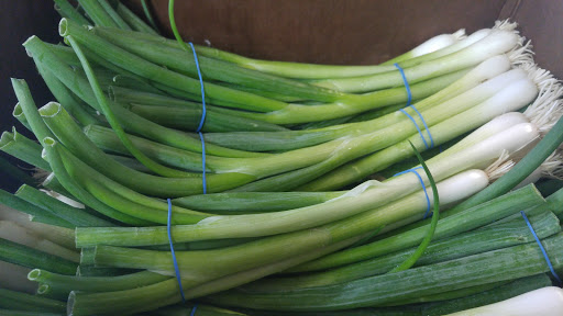 Indian Grocery Store «EZ Indian Grocery Store», reviews and photos, 12 Walnut St, Woburn, MA 01801, USA