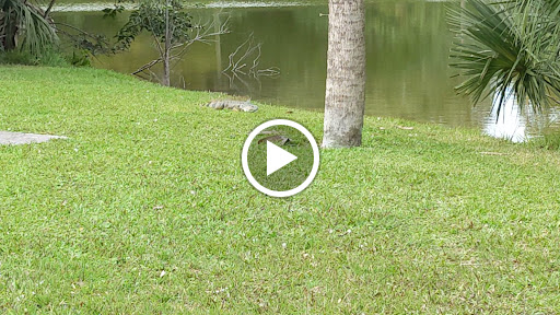 Park «Easterlin Park», reviews and photos, 1000 NW 38th St, Oakland Park, FL 33309, USA