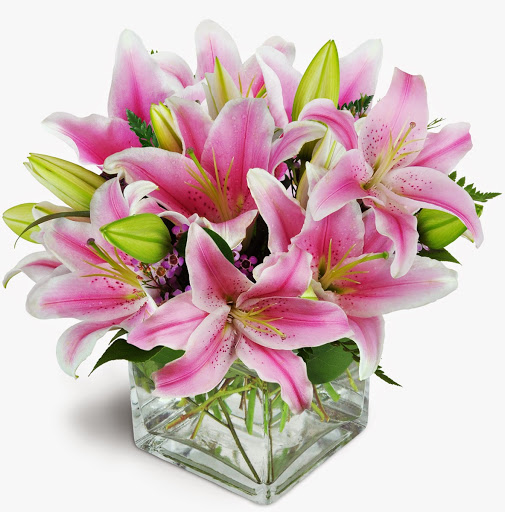 Florist «The Daisy Fair Flowers», reviews and photos, 1400 4th Ave, Conway, SC 29526, USA