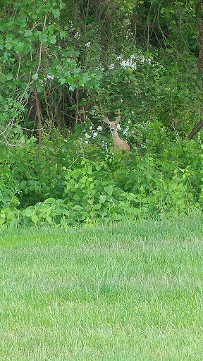 Park «Anderson Farm Park», reviews and photos, 499 Hopwood Rd, Collegeville, PA 19426, USA