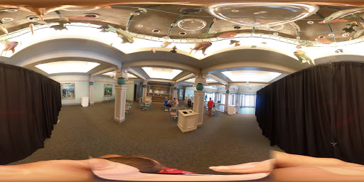 Dessert Shop «Beaches & Cream Soda Shop», reviews and photos, 1800 Epcot Resorts Blvd, Orlando, FL 32830, USA