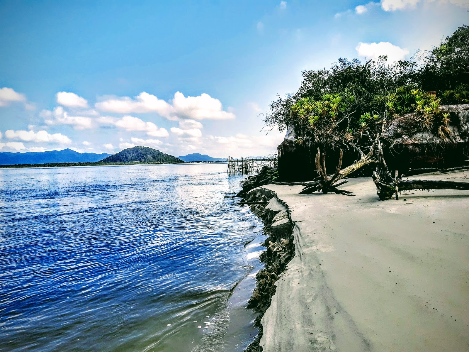 Photo de Dolphin's Bay Beach avec un rivage spacieux
