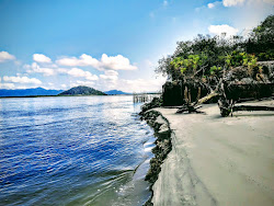 Photo de Dolphin's Bay Beach avec un rivage spacieux