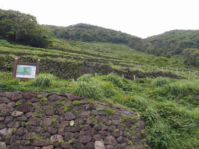 笠沙谷山段々畑