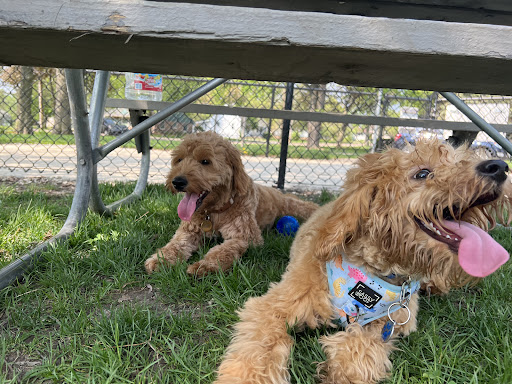 Dog Park «Lincoln Park Dog Park», reviews and photos, S Russell Ave, Aurora, IL 60506, USA