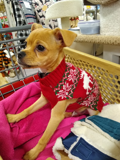 Department Store «HomeGoods», reviews and photos, 1109 Brook Forest Ave, Shorewood, IL 60431, USA