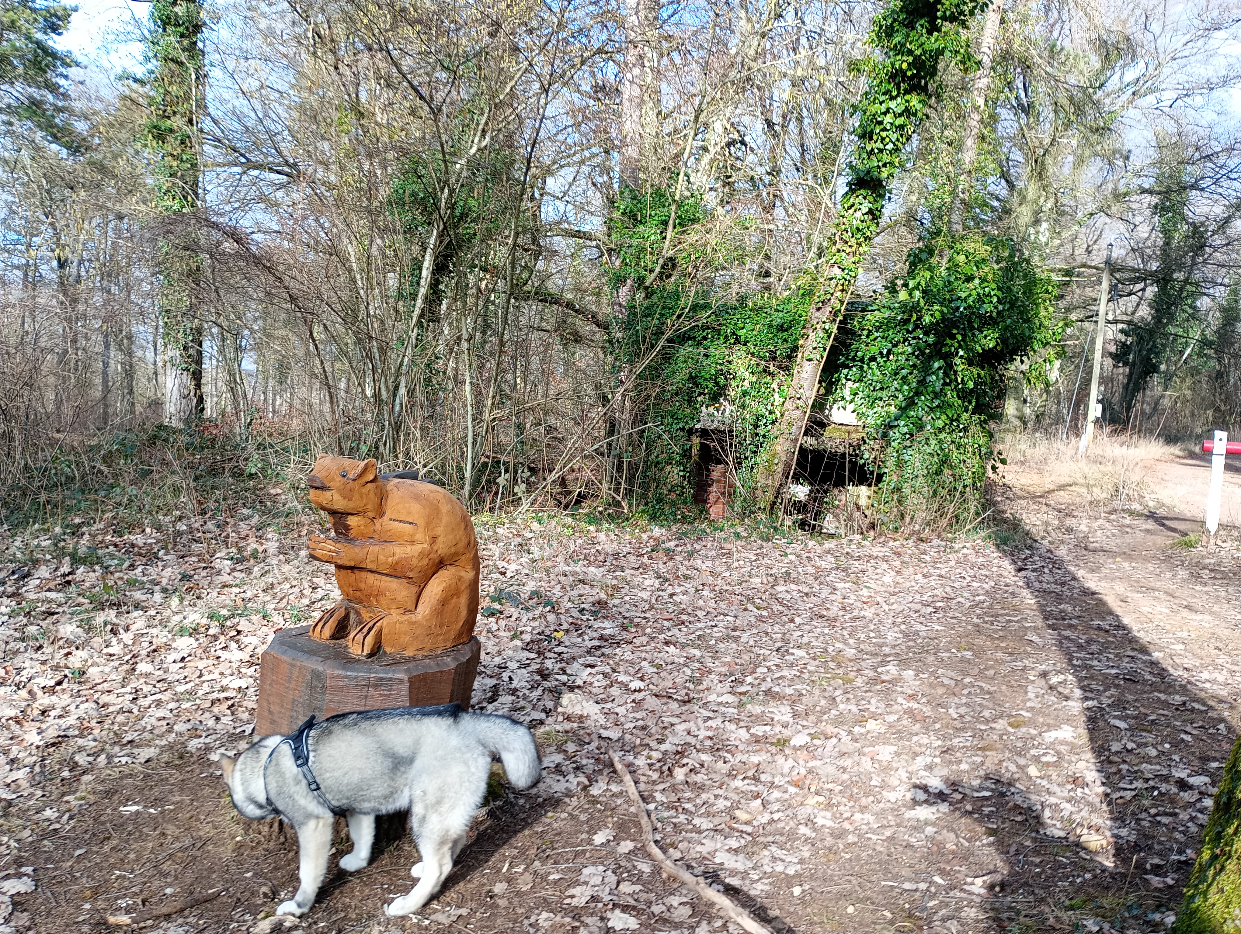 Photo n° 2 de l'avis de Phidis.a fait le 31/01/2024 à 22:31