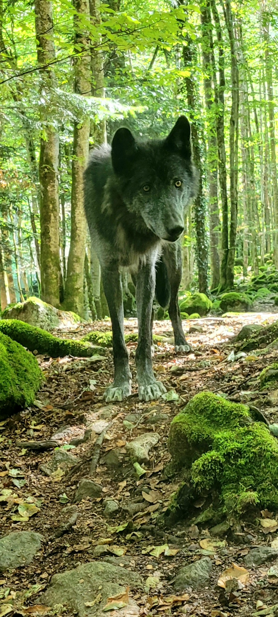 Photo n° 1 de l'avis de Pamela.a fait le 18/09/2022 à 12:17