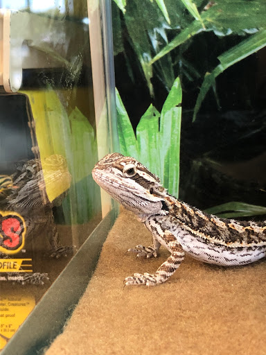 Pet Supply Store «PetSmart», reviews and photos, 7663 Arundel Mills Blvd, Hanover, MD 21076, USA