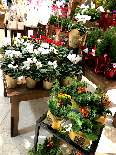 Supermarket «Cub Foods», reviews and photos, 100 County Rd B E, Maplewood, MN 55117, USA