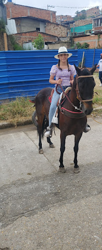 FINCA BELLA VISTA - Fusagasugá